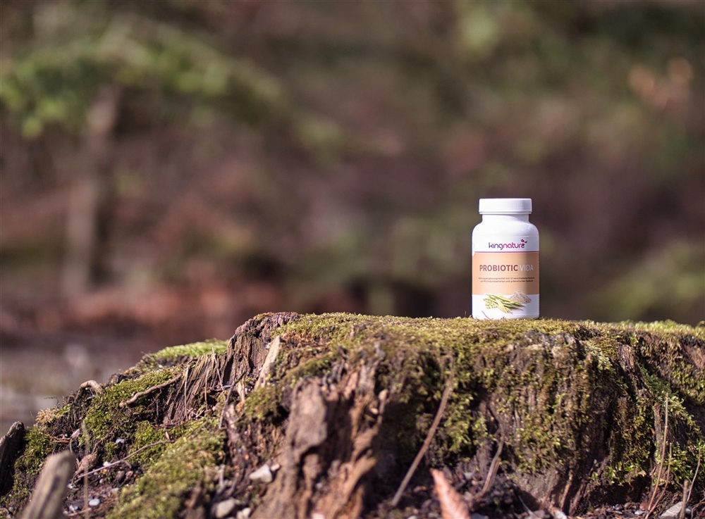 KINGNATURE Probiotic Vida<br>90 g, Dose, Pulver