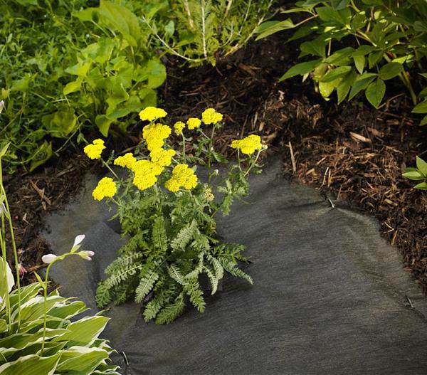 Dehner Rindenmulch-Unterlage, ca. L300/B200 cm