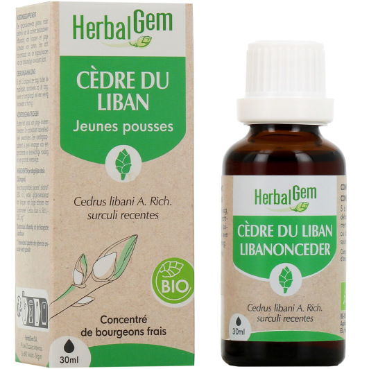 Herbalgem cèdre du liban concentré jeunes pousses - Gemmothérapie