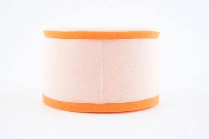 Filtre à air Twin air 153201