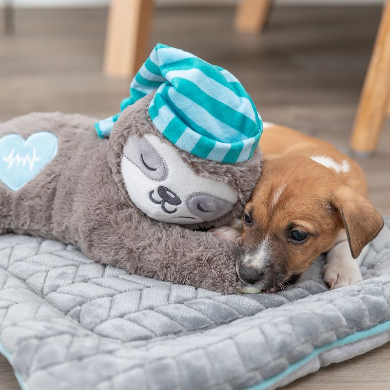 Jouet Trixie Junior Paresseux pour chiot