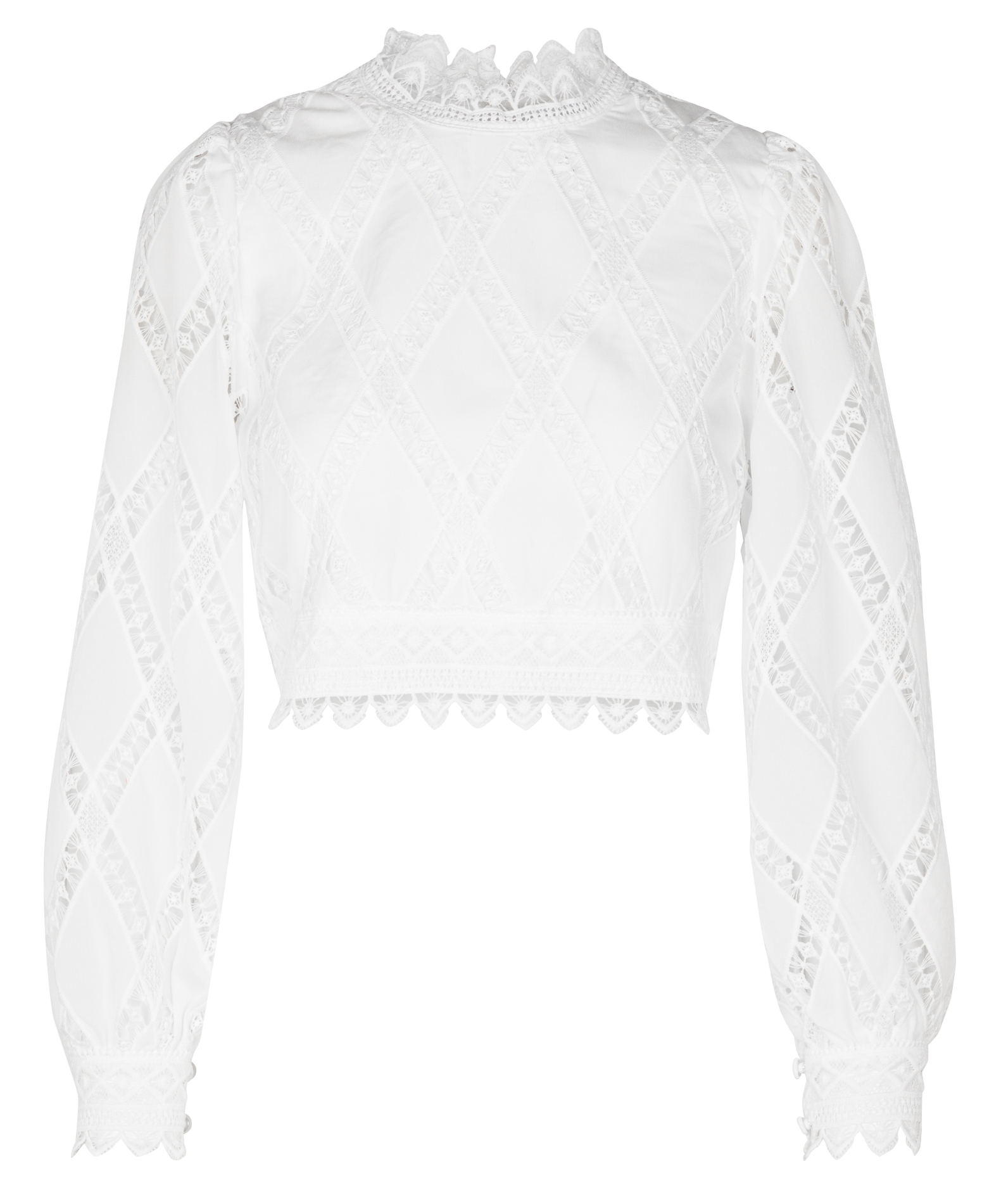 KELLY - Blouse courte en dentelle| Blanc