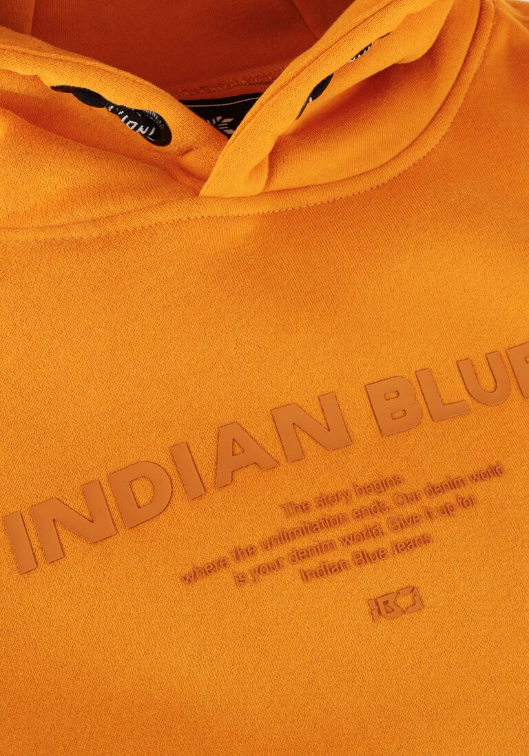 INDIAN BLUE JEANS gele indian blue jeans trui hoodie indian blue