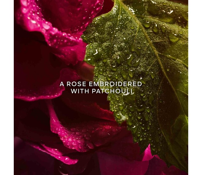 Guerlain La Petite Robe Noire Absolument Eau de Parfum