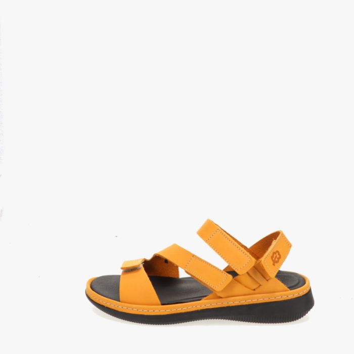Tjaard - Outlet