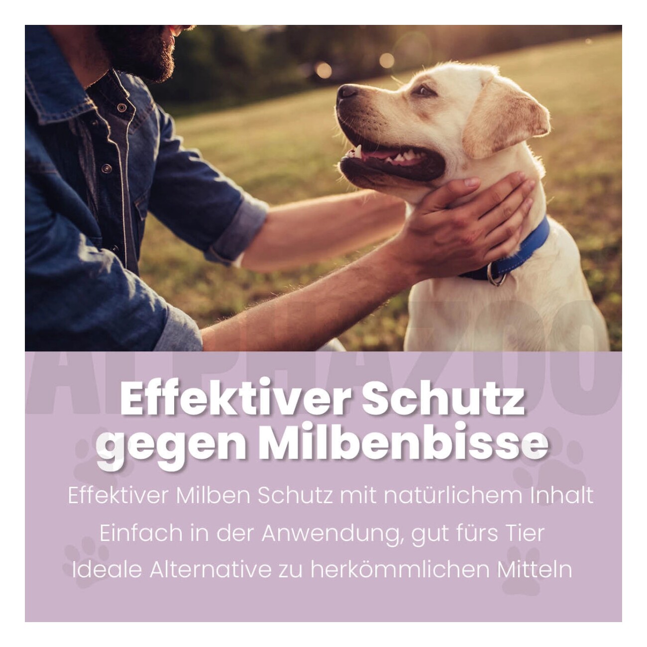 ALPHAZOO MilbHunter Milbenspray für Hunde & Katzen I Starkes Anti Milbenmittel 100 ml