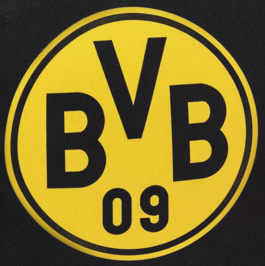 Sitzball BVB