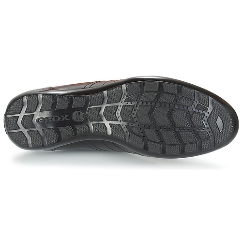 Geox - UOMO SYMBOL - Noir
