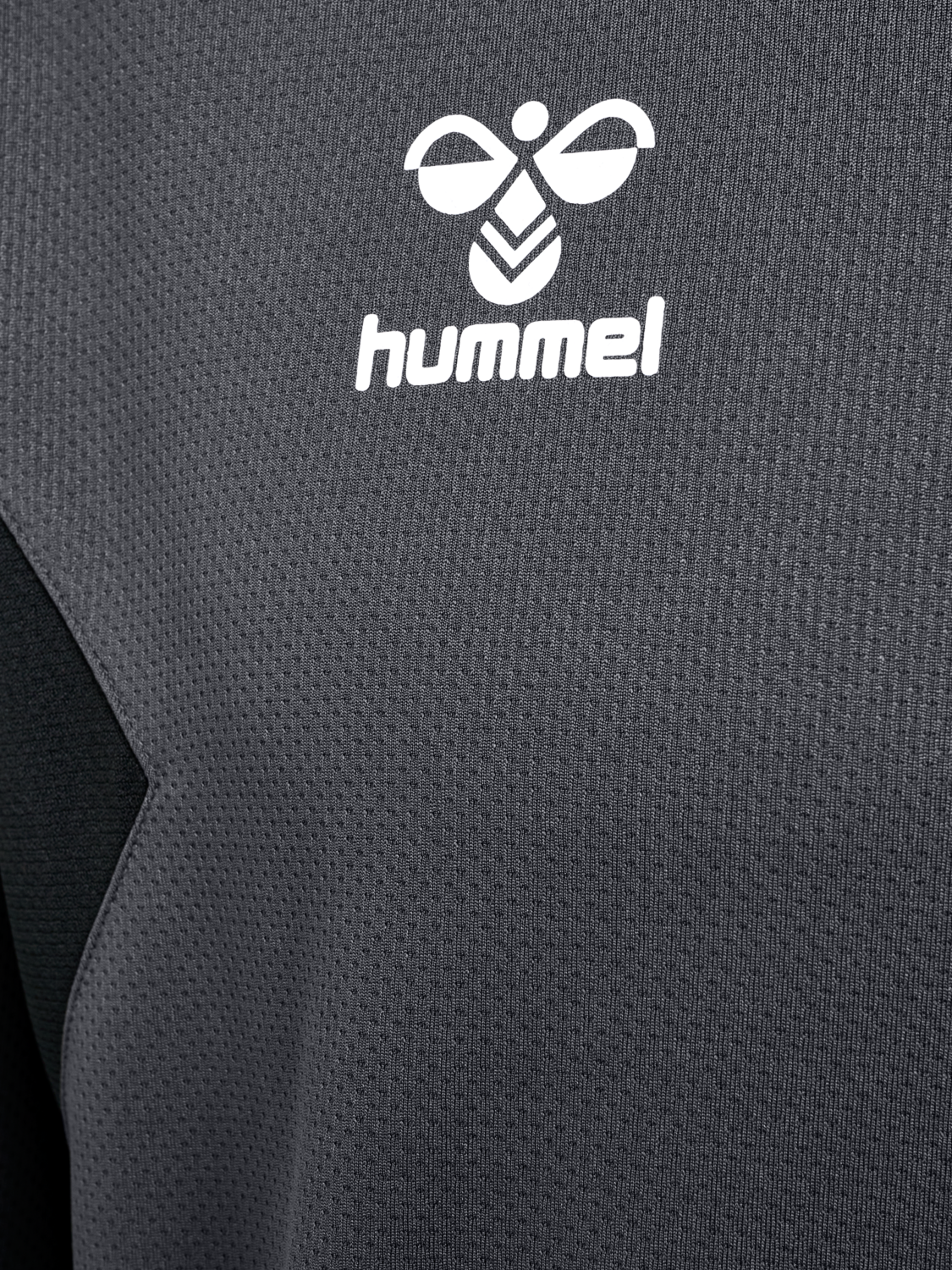hmlAUTHENTIC PL HOODIE