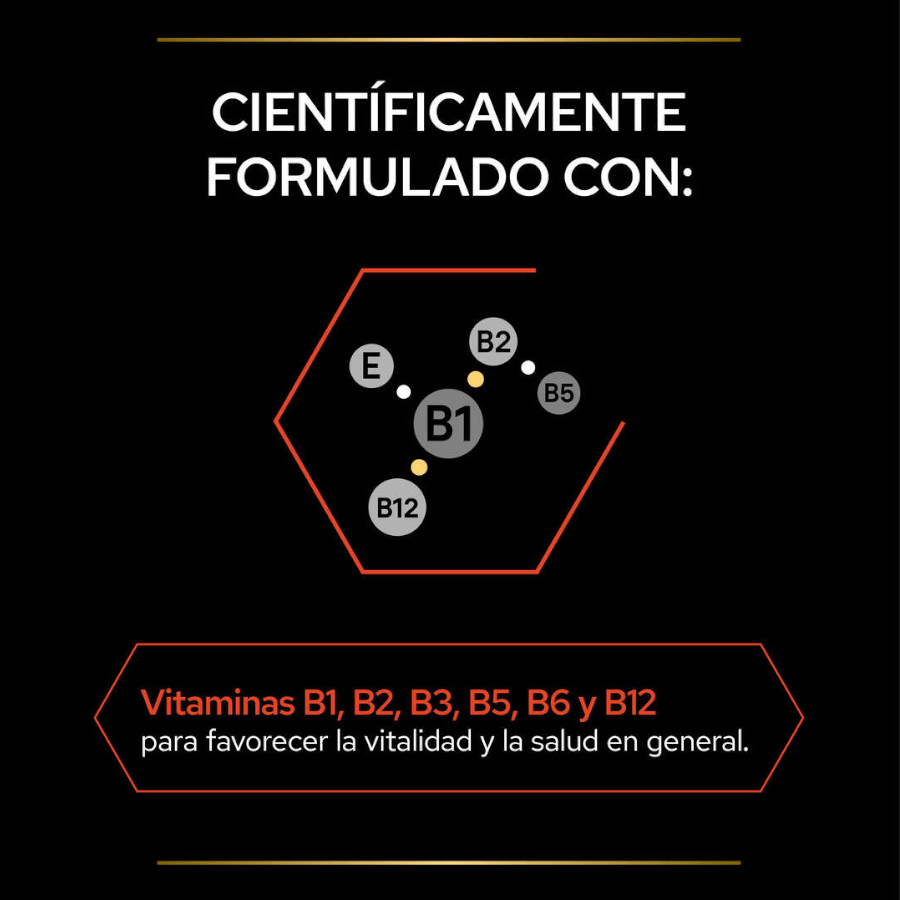 Pro Plan Multivitamins + para gatos