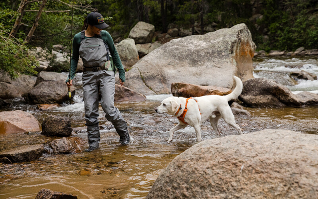 Ruffwear Front Range gepolstertes Hundegeschirr