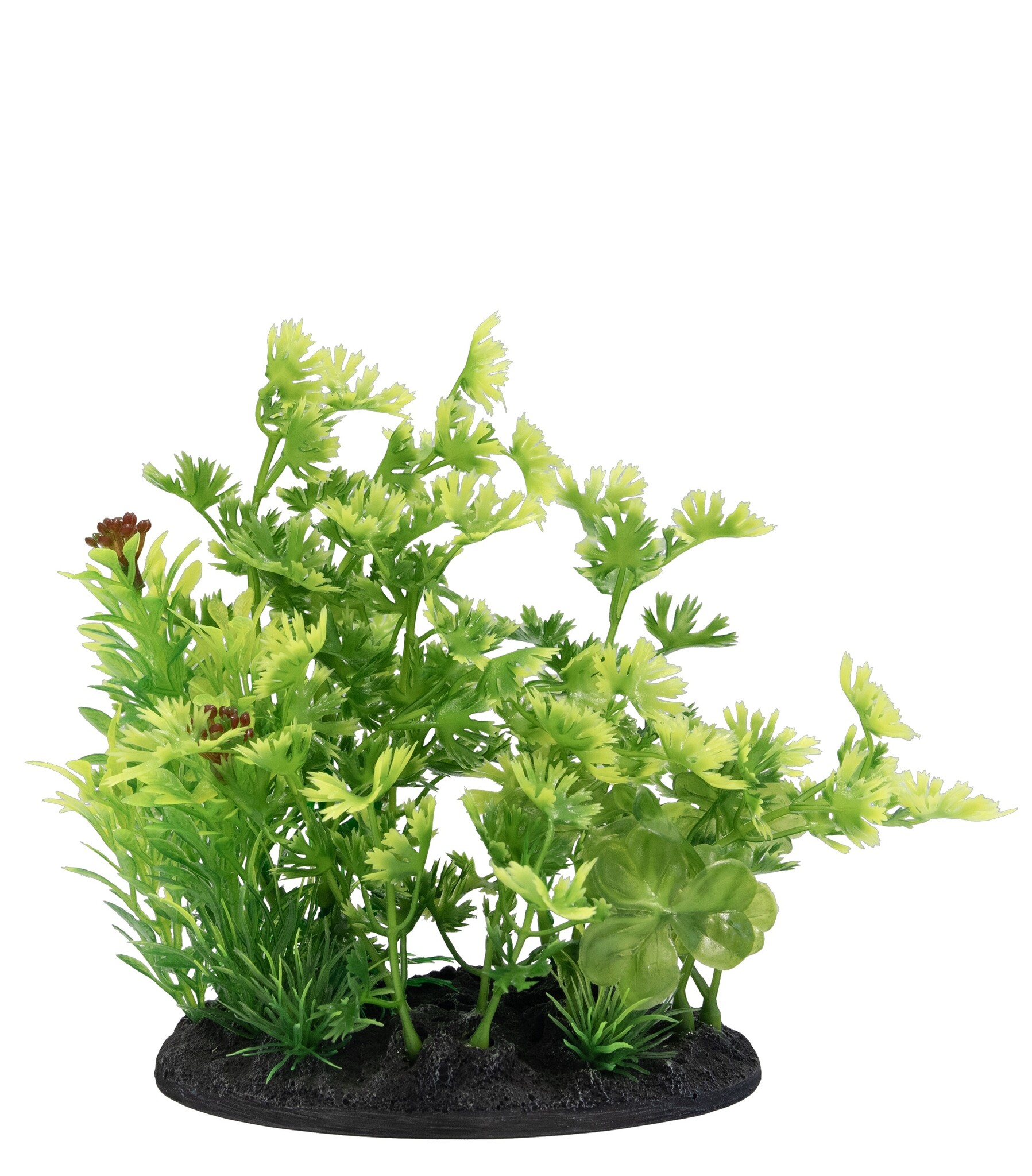Deco Plant S3