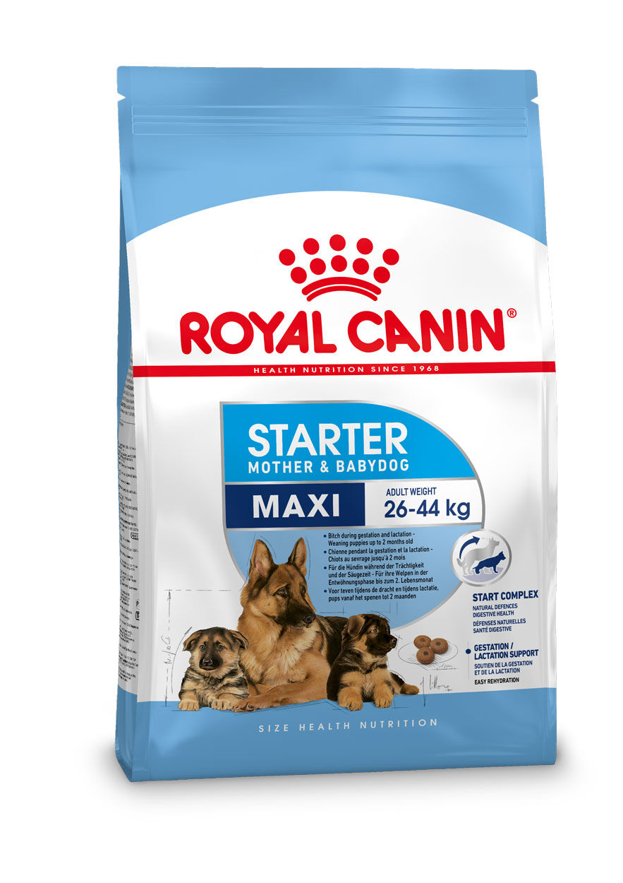 Royal Canin SHN Maxi Starter Mother & Babydog -  Hondenvoer - 4 Kilogram - gevogelte
