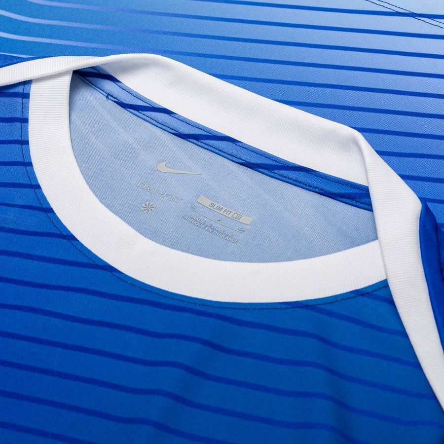 Norvège T-shirt d'Entraînement Dri-FIT Academy Pro Avant-Match - Bleu Royal/Blanc