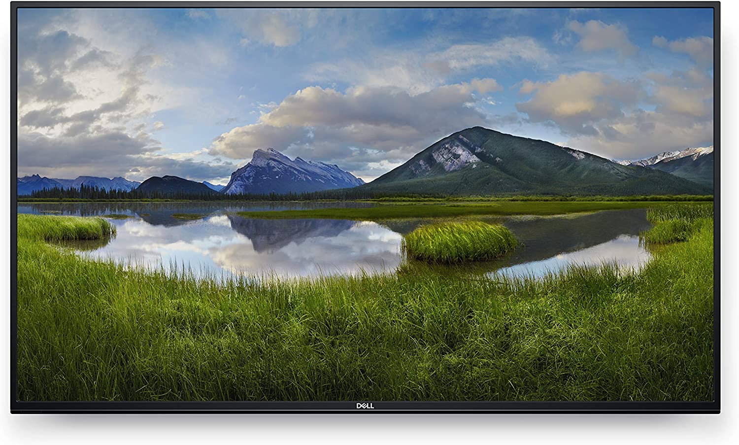Dell C5519Q | 55