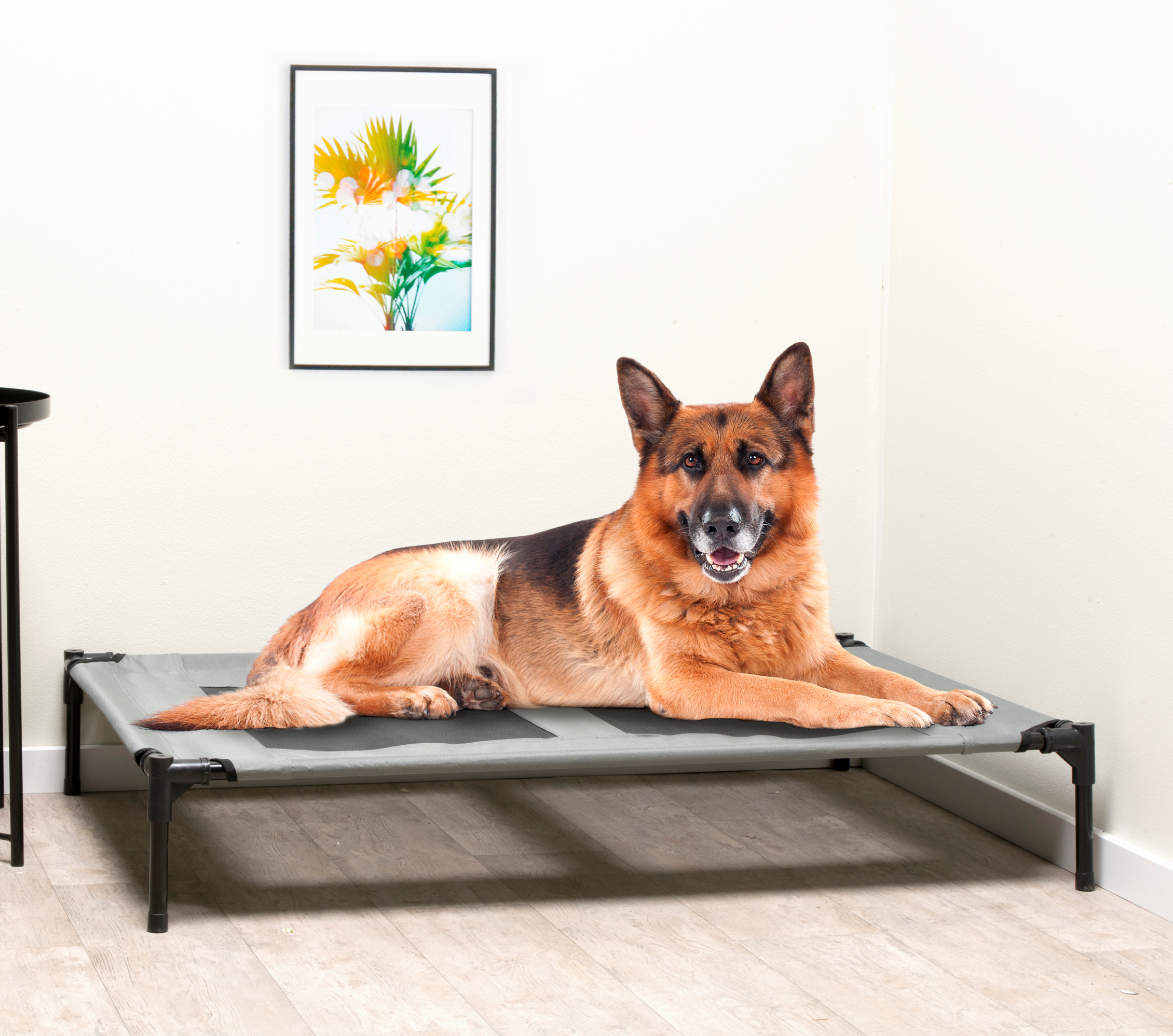 Hundebett erhöht L grau/schwarz