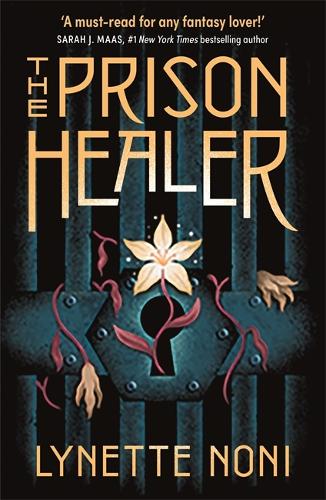 The Prison Healer (Paperback)
