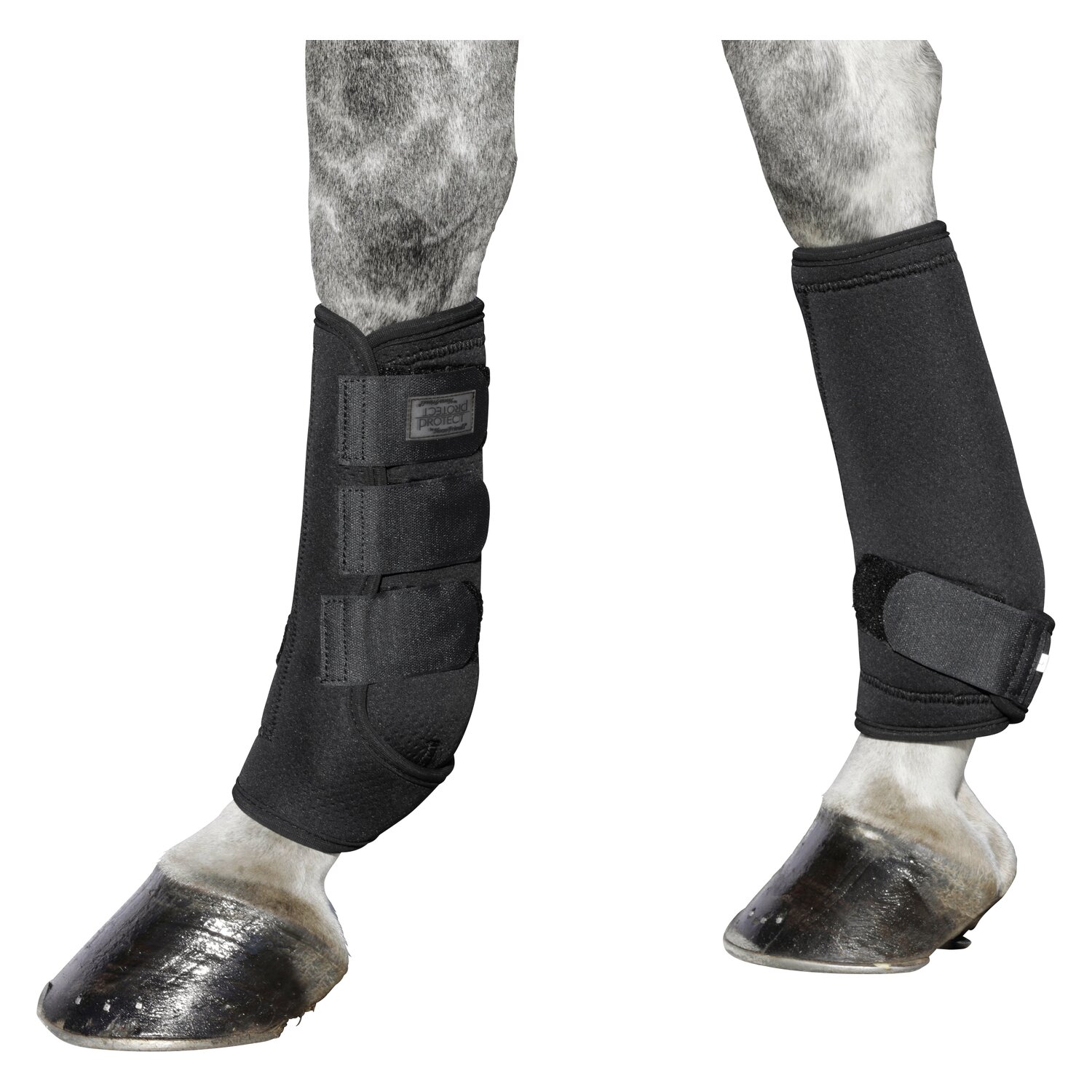 PROTECT by Horse-Friends Gamaschen Montreal  - black