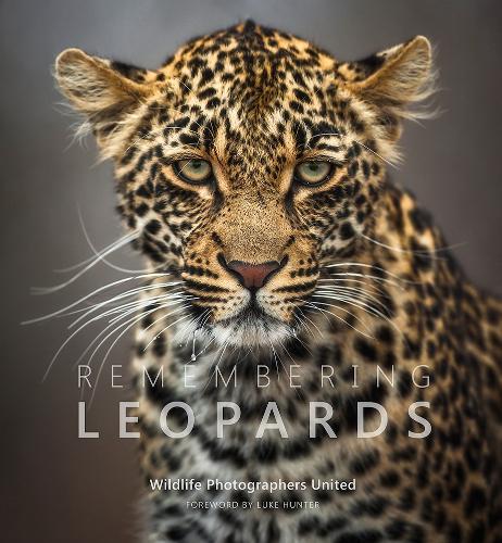 Remembering Leopards - Remembering Wildlife (Hardback)
