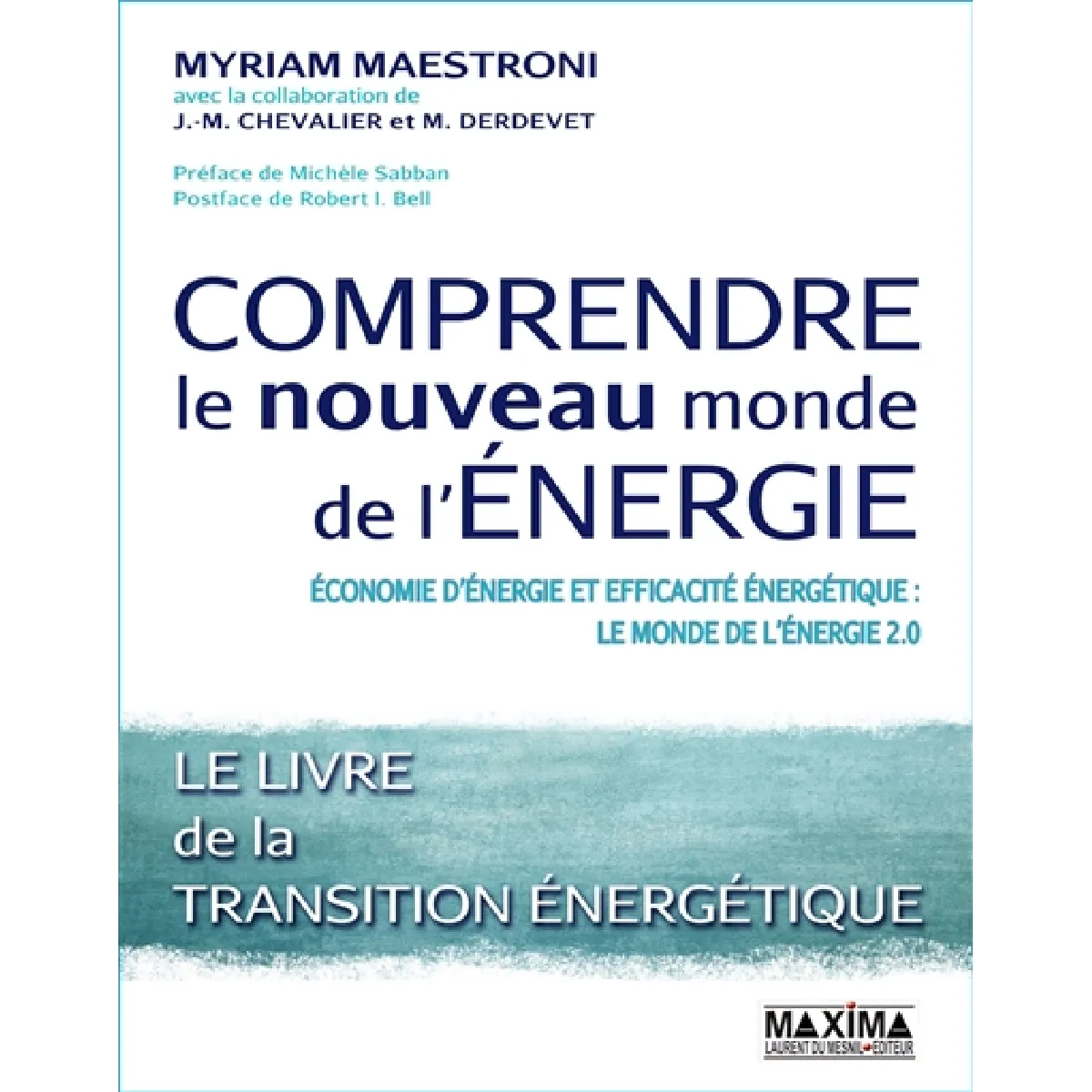 Comprendre le nouveau monde de l'énergie : économie d'énergie et efficacité énergétique : le monde de l'énergie 2.0 · Occasion