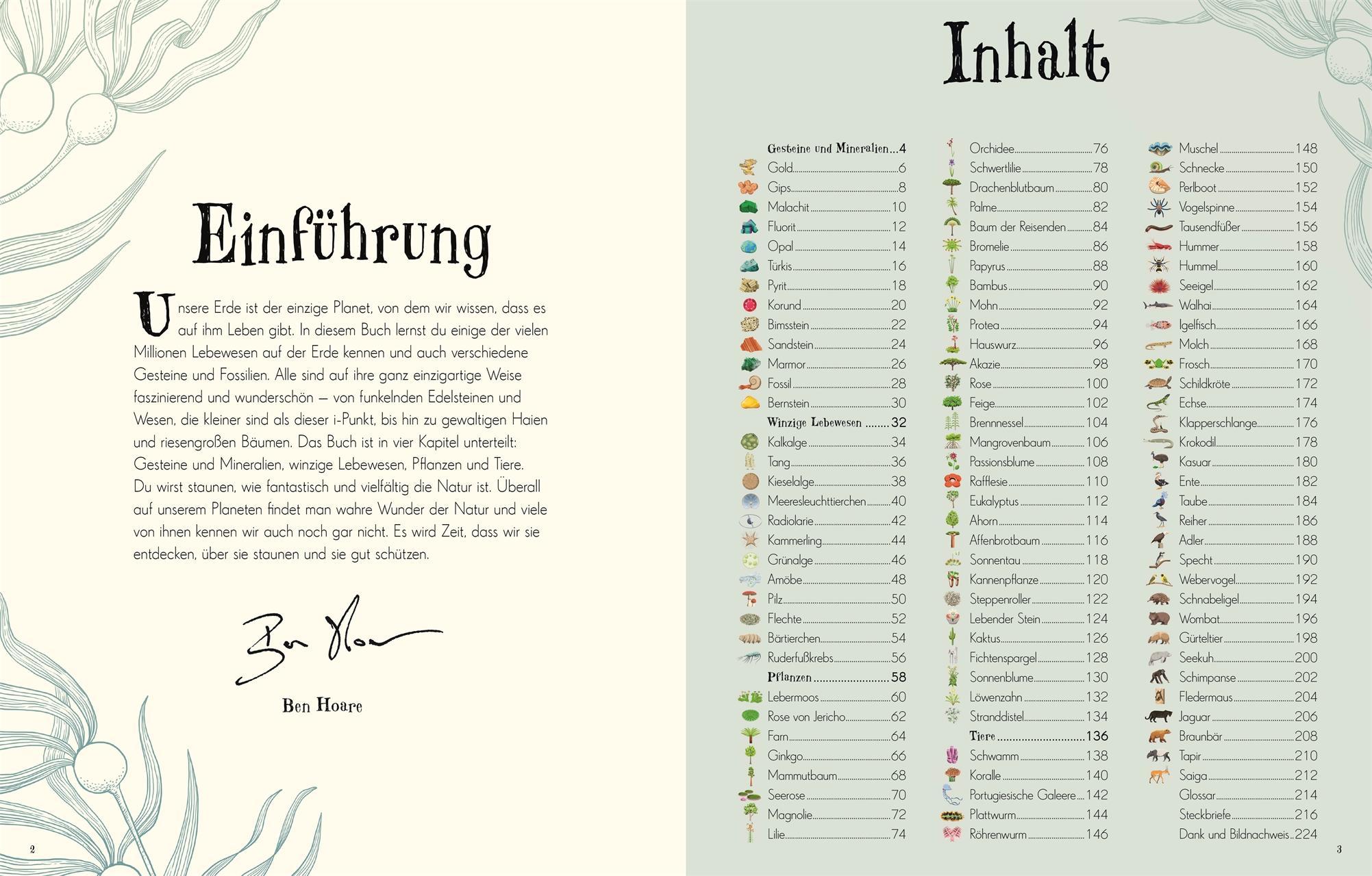 Wundervolle Welt der Natur / Wundervolle Welt Bd.2