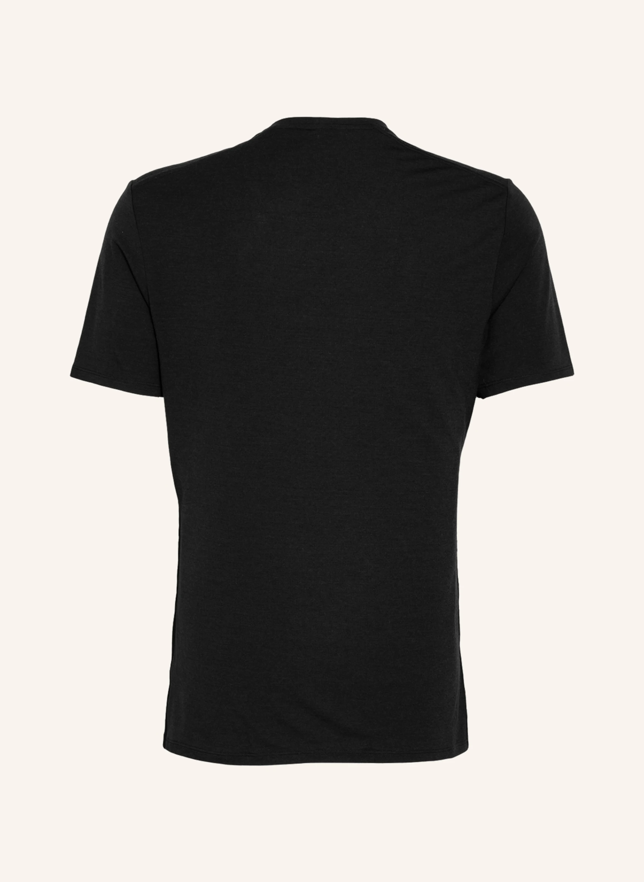 icebreaker Funktionswäsche-Shirt ANATOMICA aus Merinowolle