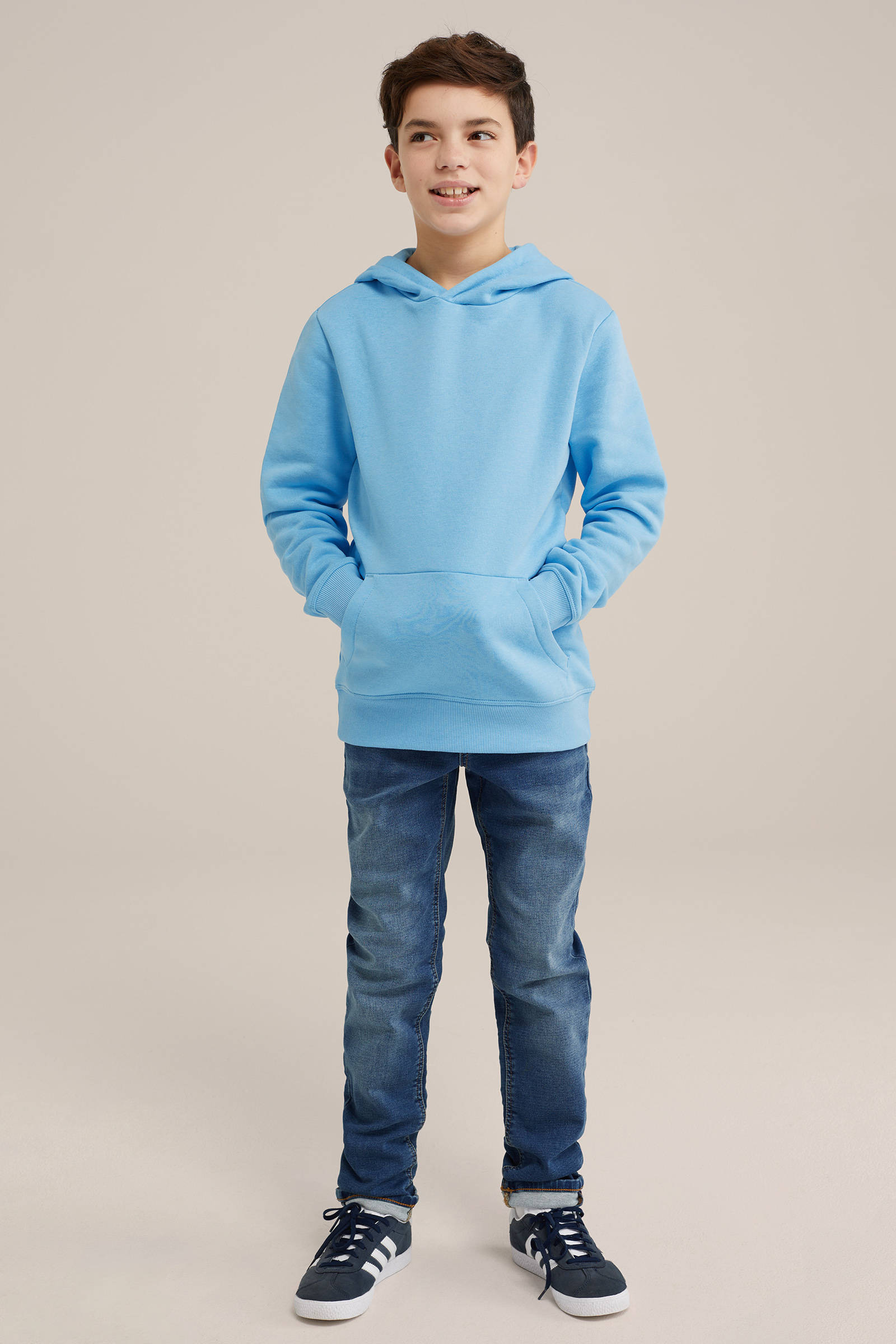 hoodie alaskan blue