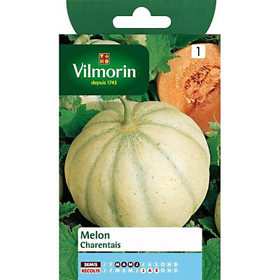 Graines de Melon Charentais