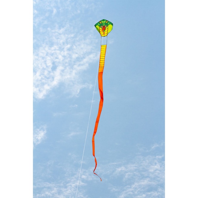 Lenkdrachen - Cobra Kite - ca. 10 m