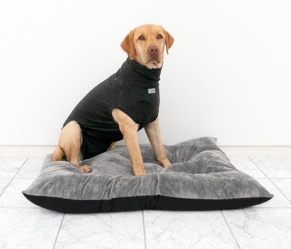 Dehner Lieblinge Post-OP-Body, schwarz