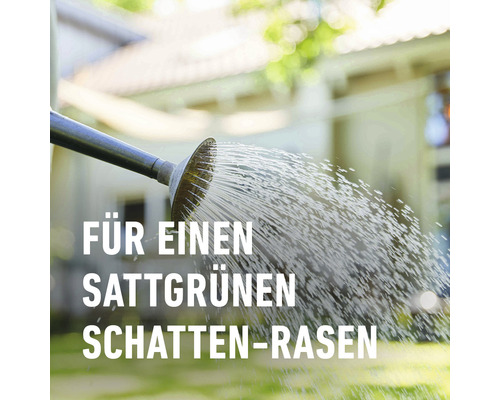 Schaduwgazon COMPO SAAT® 1 kg 50 m²