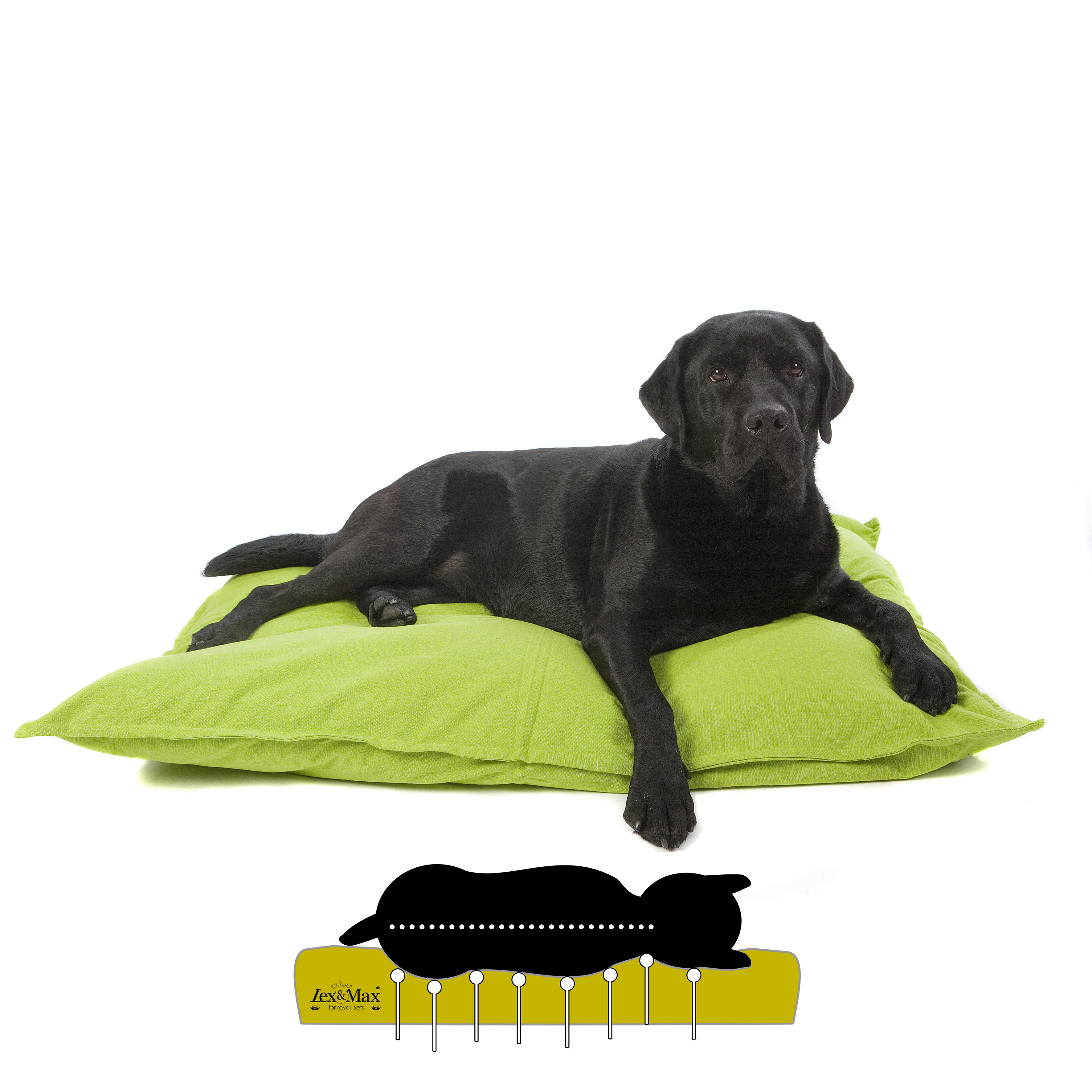 Lex & Max Tivoli - Orthopedisch Hondenkussen - Lime - 70x100x16 cm - L
