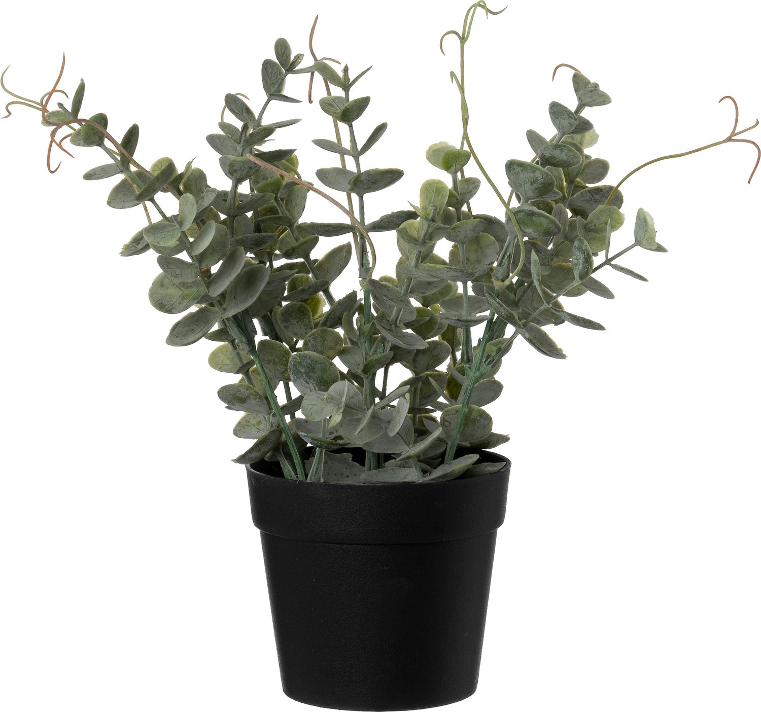 Intratuin kunstplant Eucalyptus groen 15 x 20 x 23 cm