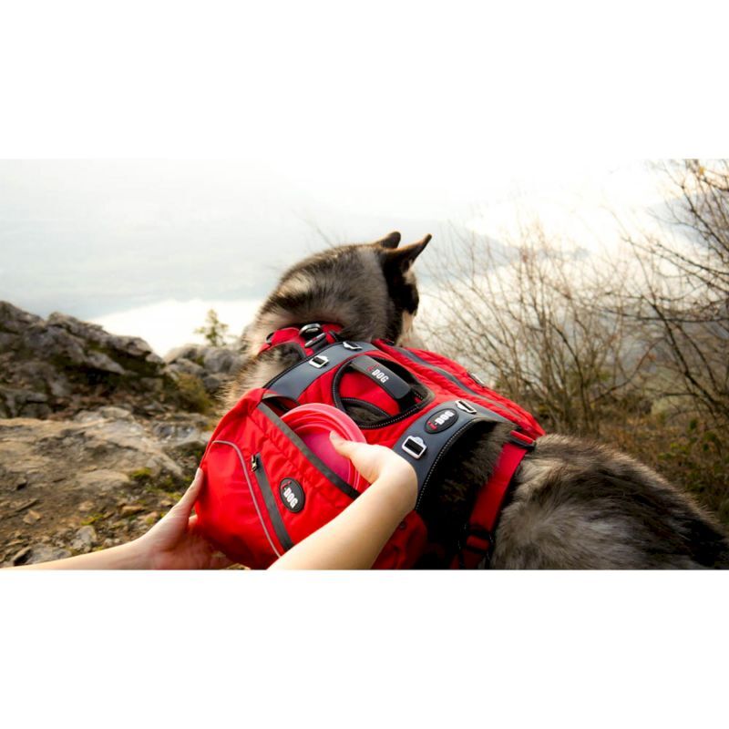 Confort Trek - Sac à dos pour chien randonnée