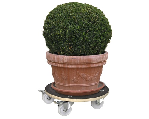 WagnerSystem Maxigrip plantenwagen, Ø38 cm, 200 kg