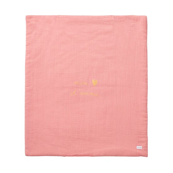 Bonne nuit les chatons Couverture bi-matière   Pink Terra        70 x 80 cm   de               Petit à petit