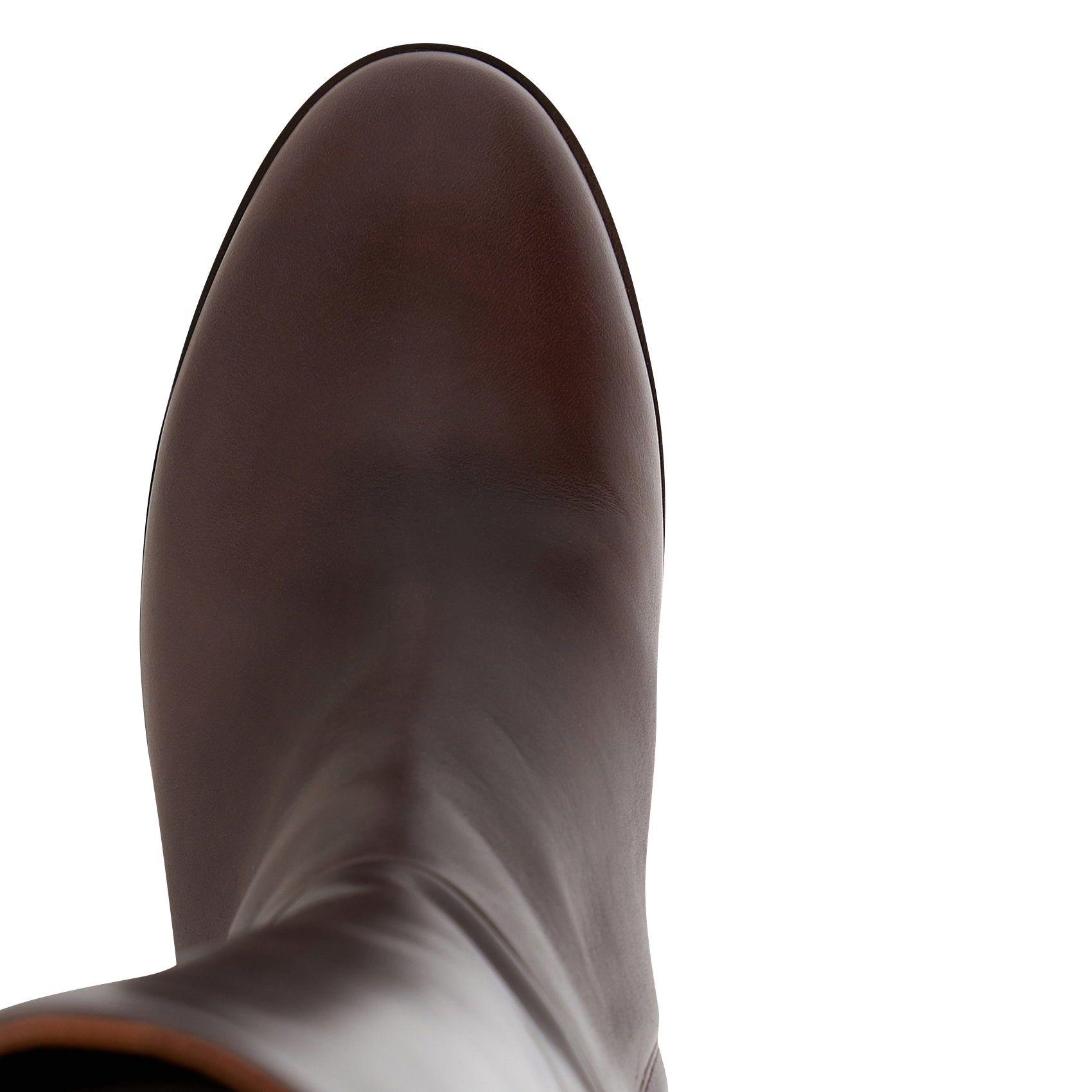LIZZIE - Bottes en cuir | Marron