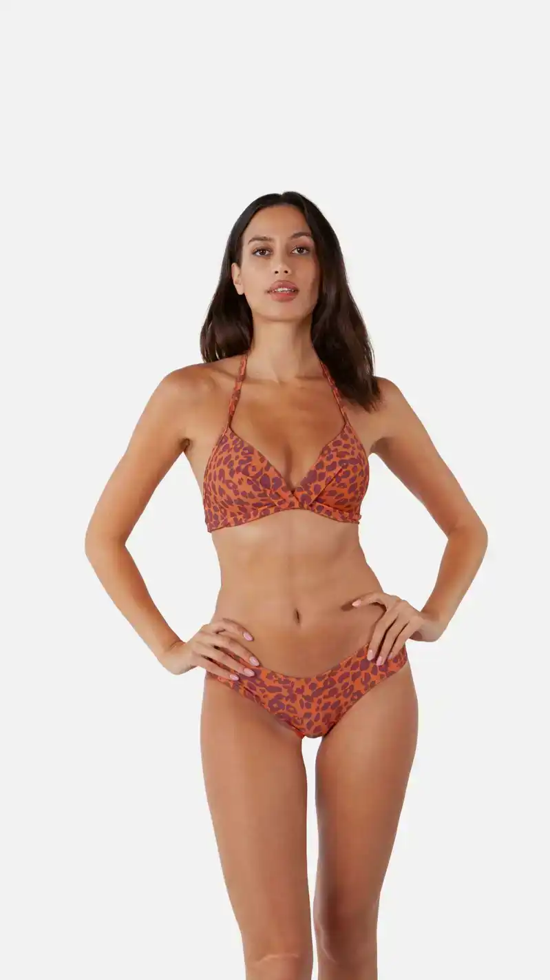 Des Halter Cut Briefs Bikinibroekje