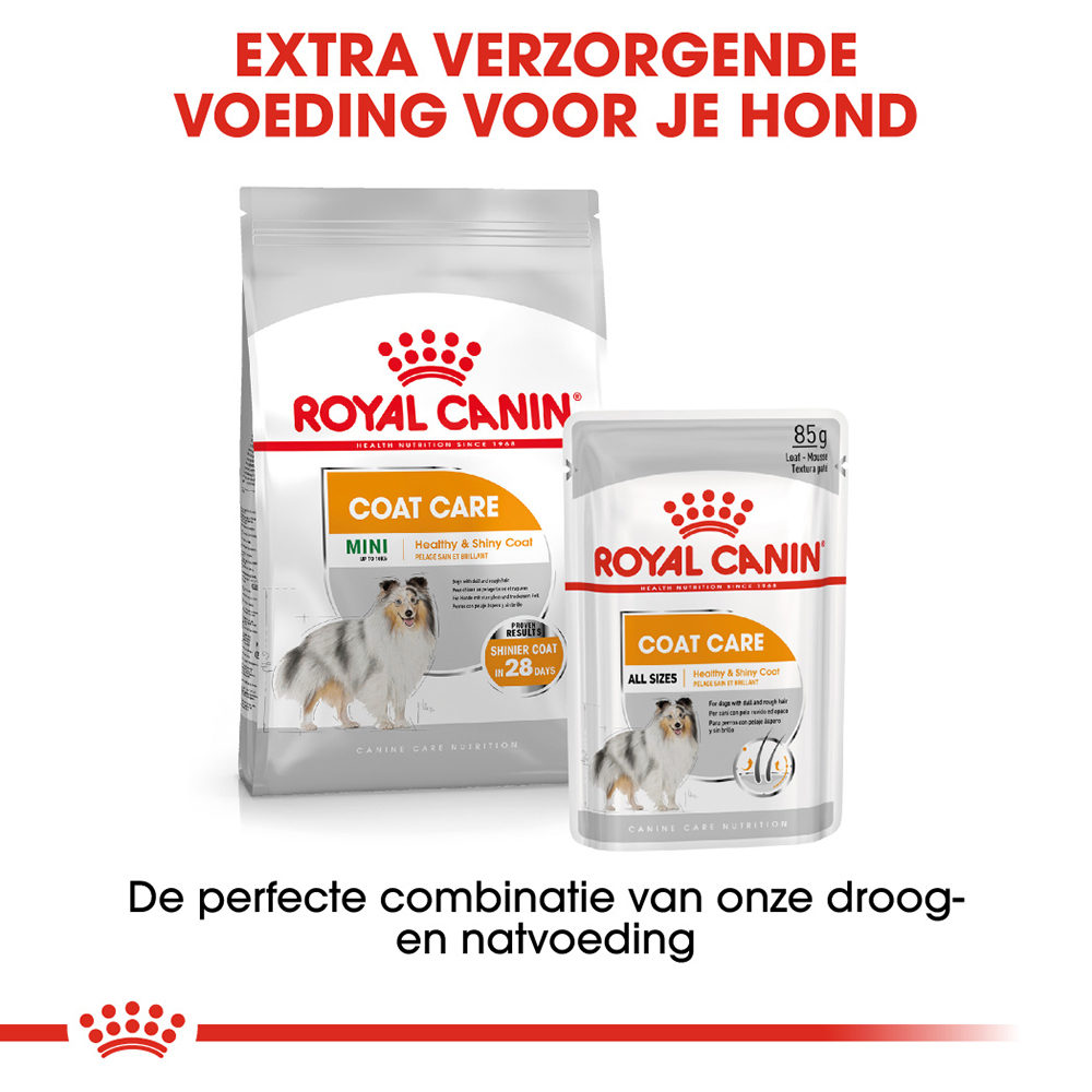 Royal Canin Mini Coat Care - Hondenvoer