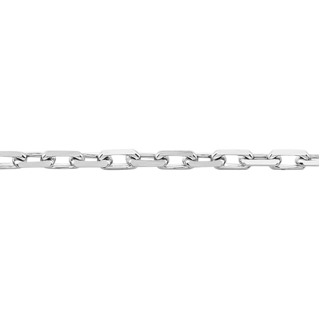 Chaîne Igoa Maille Forçat Diamantee Or Blanc