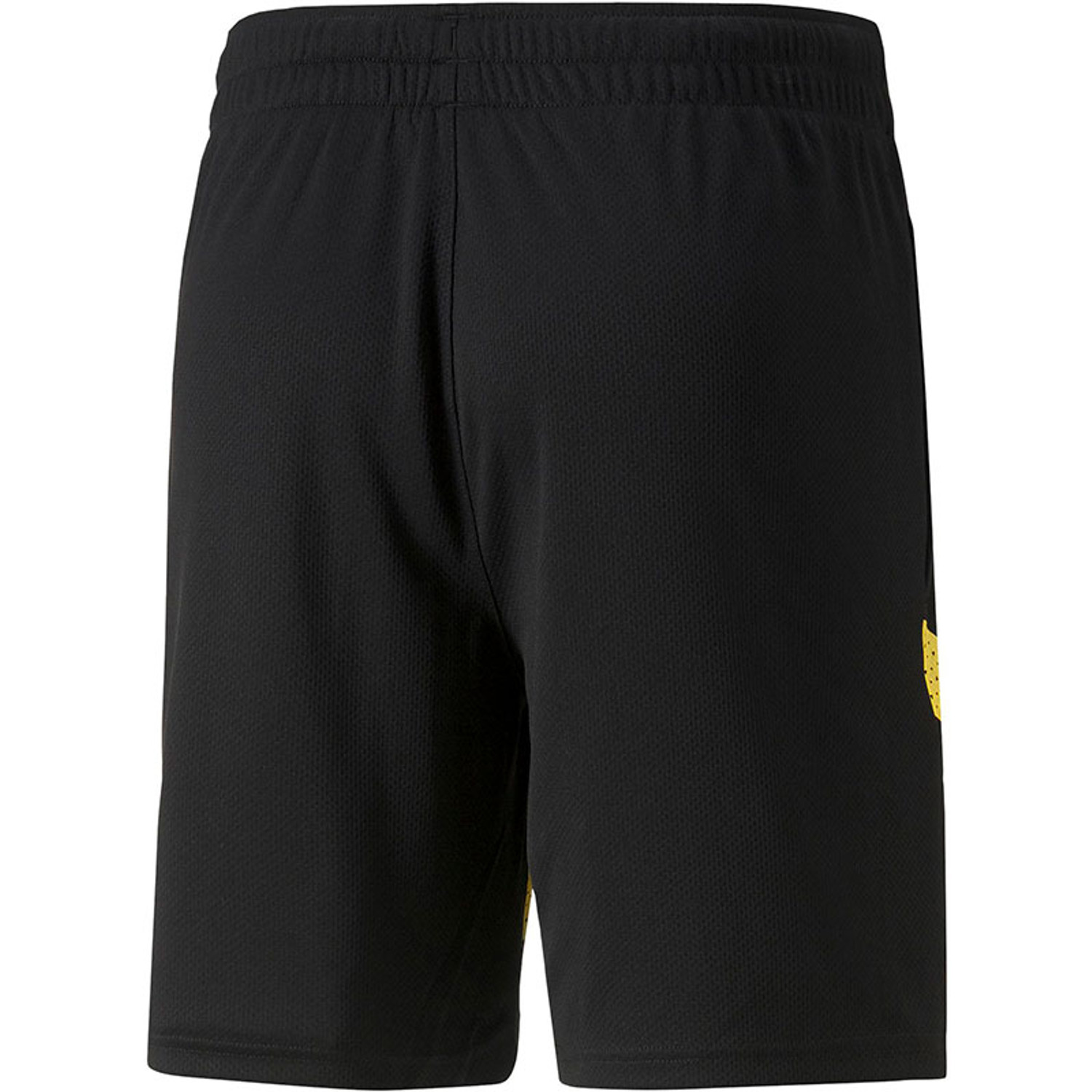 Puma Borussia Dortmund Trainingsset