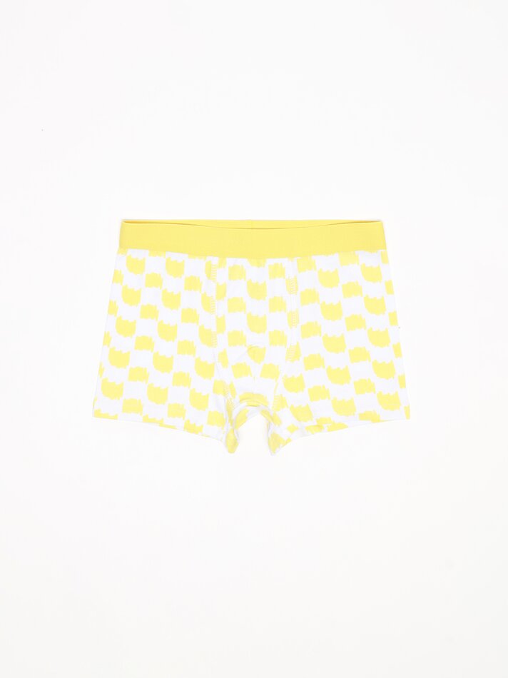 Pacote com 7 cuecas boxer estampadas - Cores Variadas