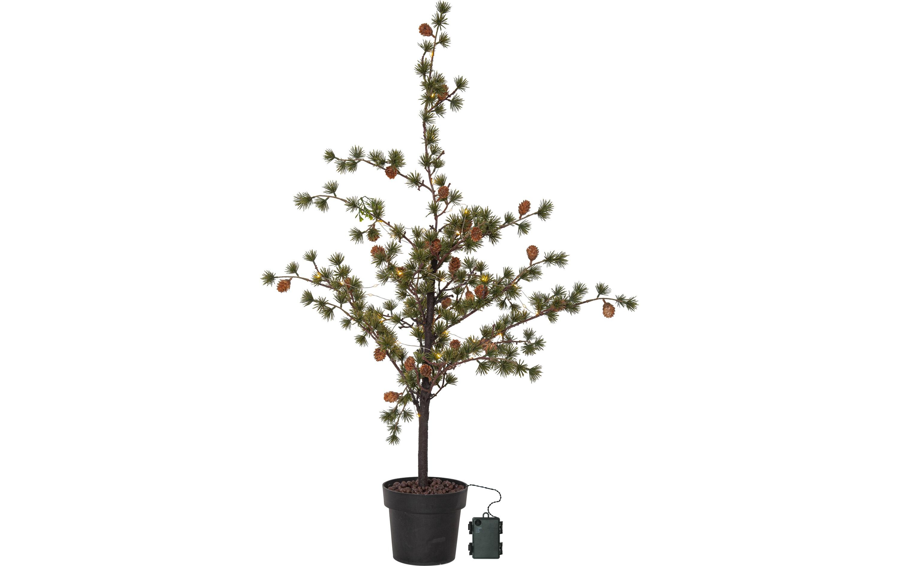 Baum Larix, 1.17 m, Grün, 40 LEDLED Leuchtbaum