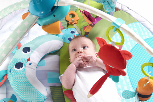 Tapis d'éveil GYMINI Dynamic - Dans la Prairie - TINY LOVE