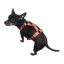 Hundesele LED S