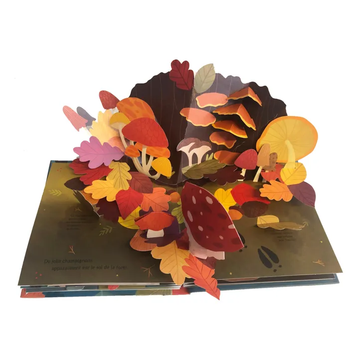 Kimane Livre Couleurs de l'automne - Janet Lawler
