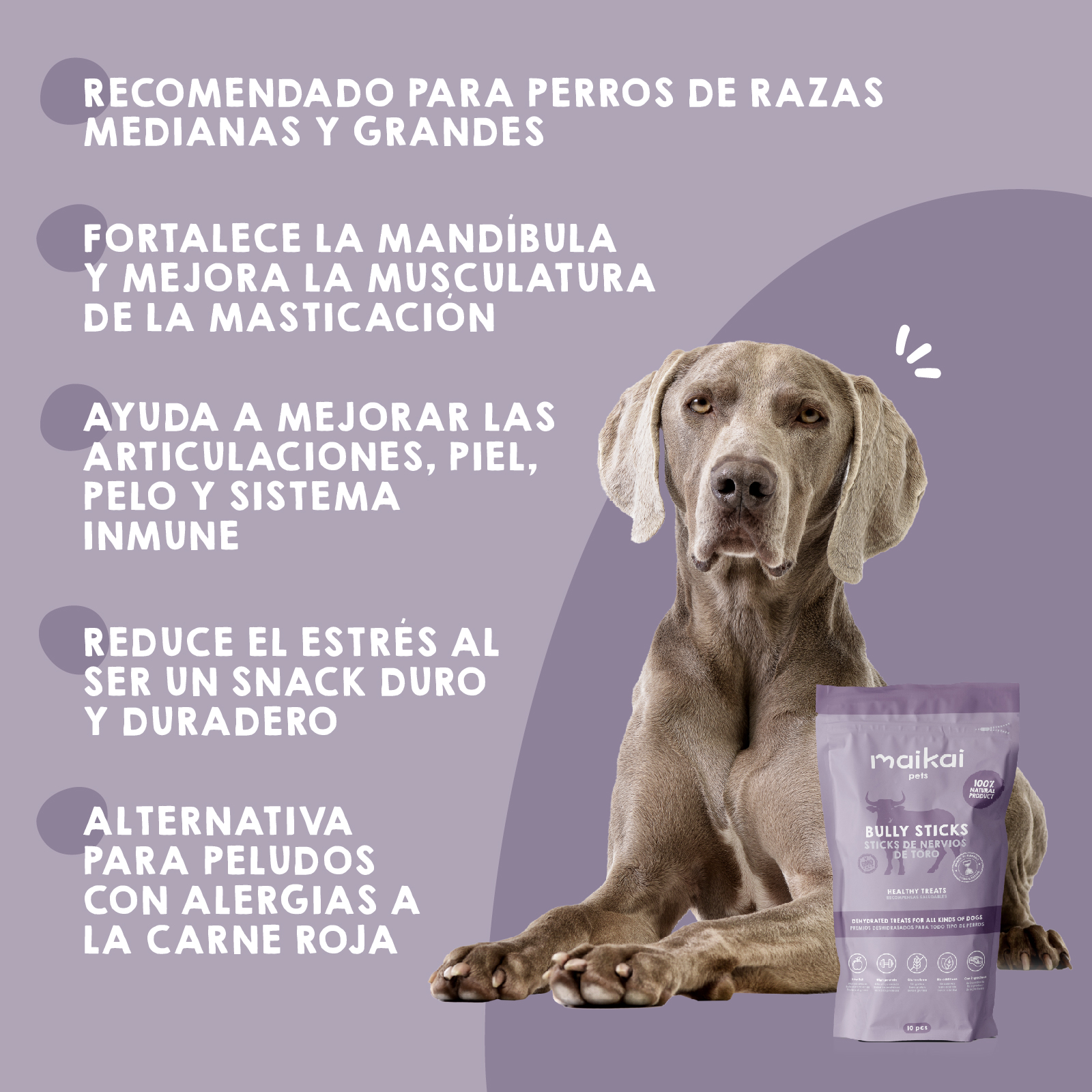 MAIKAI Nervos de Touro Desidratados - Pacote com 10 Unidades - Petiscos para Cães