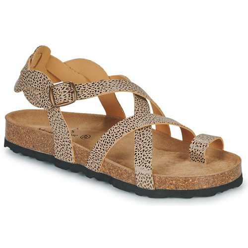 Metamorf'Ose - NACCORE - Beige / Marron / Noir