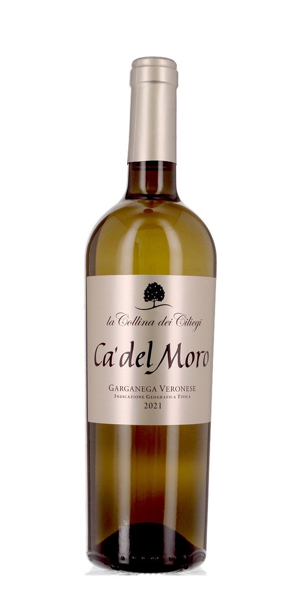 La Collina Dei Ciliegi - Ca Del Moro 2021