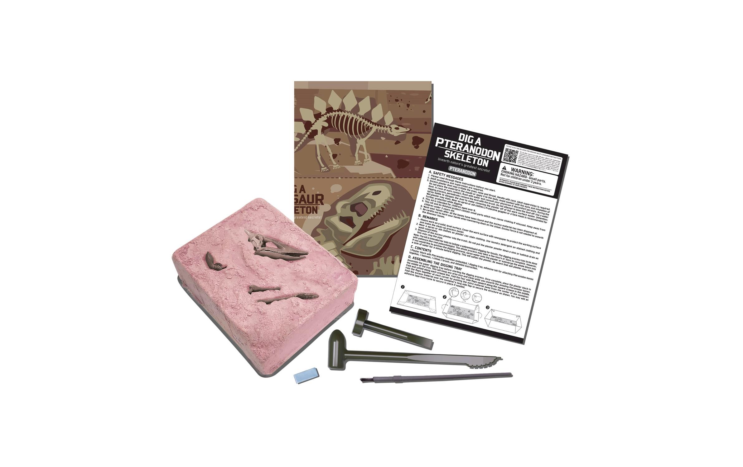 Dino Ausgrabungsset – PteranodonDinosaurier-Spielset